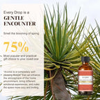 EUQEE Dragons Blood Fragrance Oils, 60ml Scent Essential Oils - Image 4