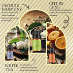 Premium Hotel Fragrance Oil Collection - Image 3