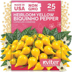 KVITER 25 Yellow Biquinho Pepper Seeds by KVITER