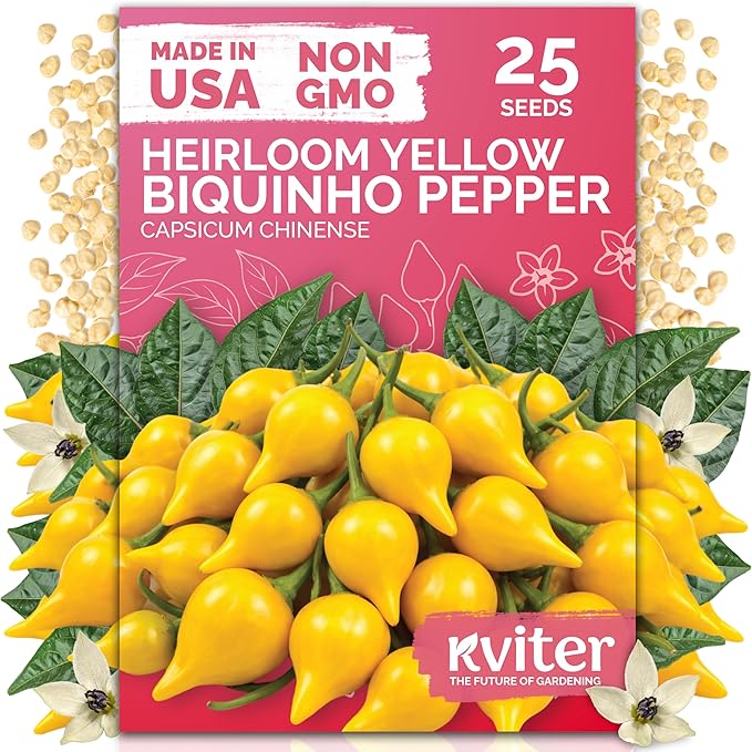 KVITER 25 Yellow Biquinho Pepper Seeds by KVITER