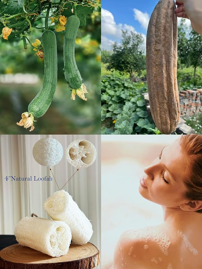 4" Natural Loofah Exfoliating Body and Face Sponge - Image 6