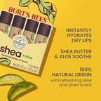 Burt's Bees Shea and Aloe Moisturizing Lip Balm, Lip Moisturizer - Image 2