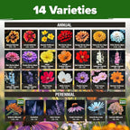 HOME GROWN Premium Monarch Butterfly Wildflower Seeds Mix - Image 2