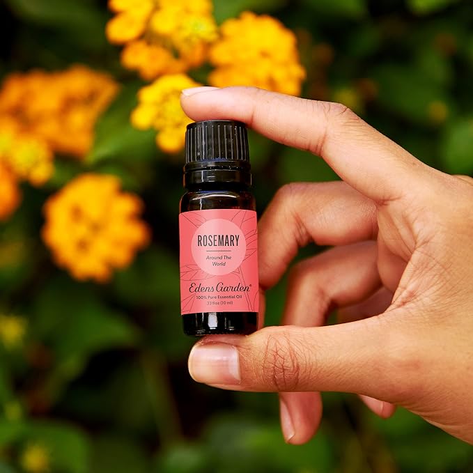 Edens Garden Rosemary Around The World Essential Oil- 100% Pure Premium Grade - Image 2