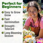 HOME GROWN 23, 500+ Moss Rose Seeds Annual Flower - Image 4