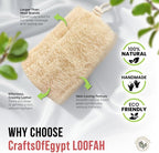 CraftsOfEgypt Luffa Body Scrubber – Plant-based Egyptian loofah shower sponge - Image 3
