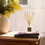 Cocorrína Reed Diffuser Sets, 6.7 fl oz. Black Forest Diffuser - Image 5