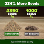 HOME GROWN Arugula Roquette Seeds 4350+ Bulk Pack Heirloom Non-GMO, High - Image 3