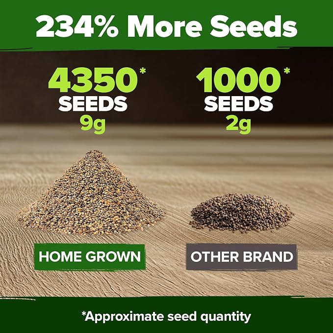 HOME GROWN Arugula Roquette Seeds 4350+ Bulk Pack Heirloom Non-GMO, High - Image 3