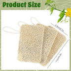3Pcs Natural Loofa, 100% Real Natural Loofah Sponges Set, Loofah Sponge - Image 2
