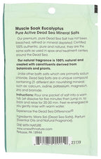 ONE WITH NATURE Eucalyptus Dead Sea Bath Salt Packet, 2.5 OZ - Image 2