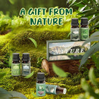 SALUBRITO Nature Fragrance Oils Set, Essential Oils Set - Image 2