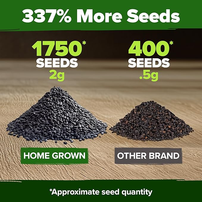 HOME GROWN Non GMO Genovese Basil Seeds Pack 1, 750+ High Germination Heirloom - Image 3