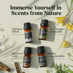 Lagunamoon Fragrance Oil Collection - Image 4