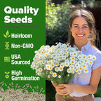 HOME GROWN German Chamomile Seed Pack – 4, 560 Heirloom Seeds - Image 2
