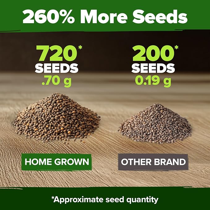 HOME GROWN Culantro Seeds - Image 3