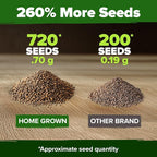HOME GROWN Culantro Seeds - Image 3
