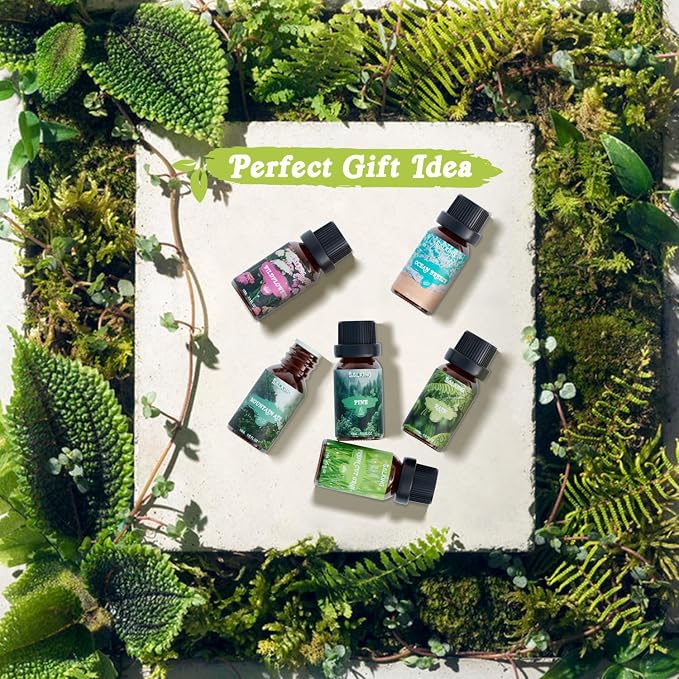 SALKING Nature Fragrance Oils, Premium Essential Oil - Image 5