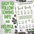 Seed Needs Luffa Seeds for Planting Loofah Sponge Gourds - Image 4