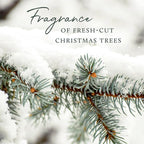 Thymes Home Fragrance Mist – Room Air Fresheners - Image 6