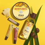 Burt's Bees Shea and Aloe Moisturizing Lip Balm, Lip Moisturizer - Image 13