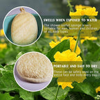 YIQINGJIE Natural Loofah Sponge Exfoliating Body Scrubber, Made - Image 4