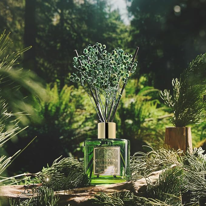 COCORRÍNA Reed Diffuser - Image 6