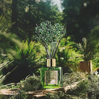 COCORRÍNA Reed Diffuser - Image 6
