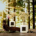 COCORRÍNA Reed Diffuser - Image 5