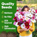HOME GROWN Cosmos Flower Seeds Bulk Pack - Image 6