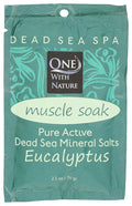 ONE WITH NATURE Eucalyptus Dead Sea Bath Salt Packet, 2.5 OZ by OneWithNatureBedu