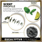 Urban Naturals Car Air Freshener Diffuser 1 Pack - Image 4