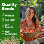 HOME GROWN Large Red Cherry Tomato Seeds 500+ Heirloom Non GMO Seeds - Image 3