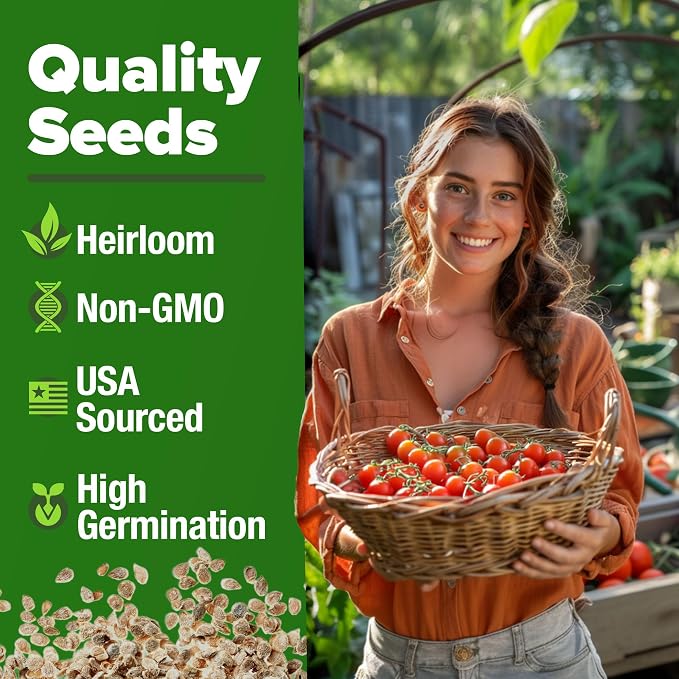 HOME GROWN Large Red Cherry Tomato Seeds 500+ Heirloom Non GMO Seeds - Image 3