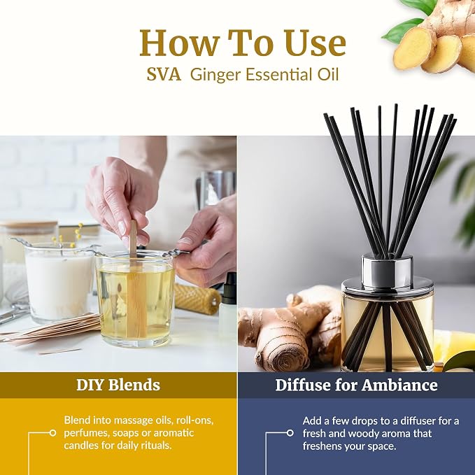 SVA Ginger Essential Oil – 4 Fl Oz – 100% Natural Ginger Oil - Image 6