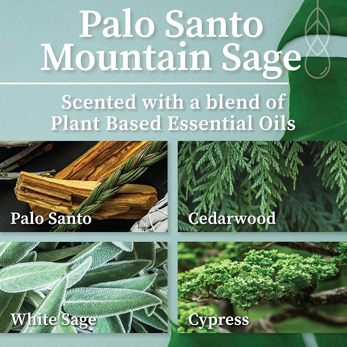 Hemlock Park Palo Santo Mountain Sage Apothecary Hand-Poured Scented Candle | - Image 2