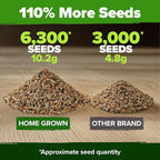 HOME GROWN Premium Herb Seeds Variety Pack - Image 4
