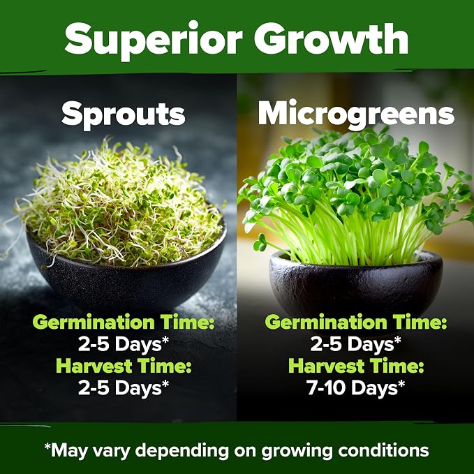 HOME GROWN Premium Sprouting Seeds Mix - Image 6