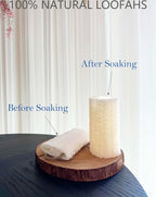 4" Natural Loofah Exfoliating Body and Face Sponge - Image 2