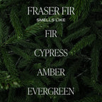 Sweet Water Decor Fraser Fir Christmas Candles - Image 2