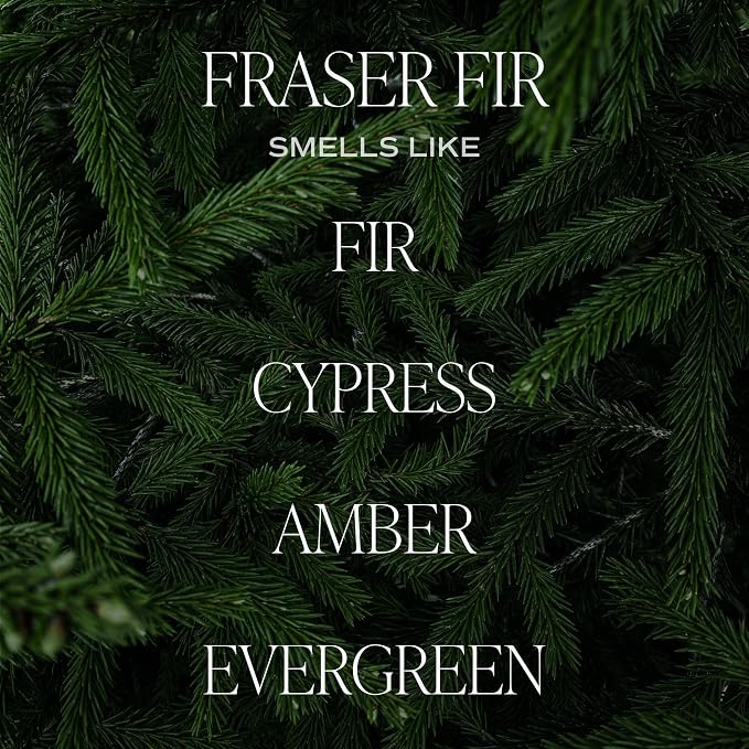 Sweet Water Decor Fraser Fir Christmas Candles - Image 2