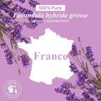 Handcraft Blends Lavender Essential Oil – 1 Fl Oz – 100% Pure and Natural – - Image 8