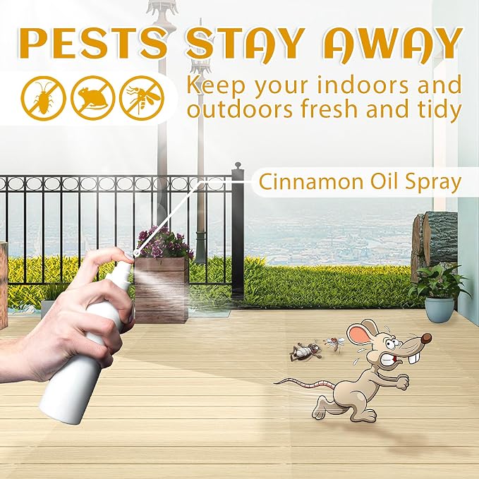 EVOKE OCCU Cinnamon Essential Oil - Image 2
