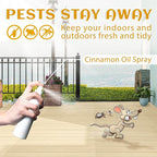 EVOKE OCCU Cinnamon Essential Oil - Image 2