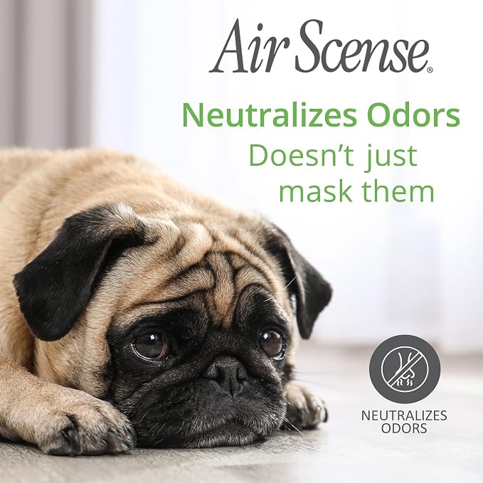 Air Scense Essential Oil Air Freshener - Image 4