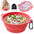 Face Ice Bath Bowl with Built-in Ice Tray, Collapsible Silicone Face Bowl by Dtuoen
