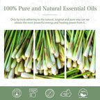 PHATOIL 100ML Citronella Essential Oil, - Image 6