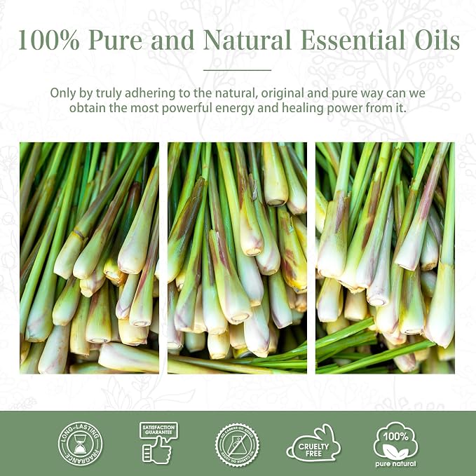 PHATOIL 100ML Citronella Essential Oil, - Image 6