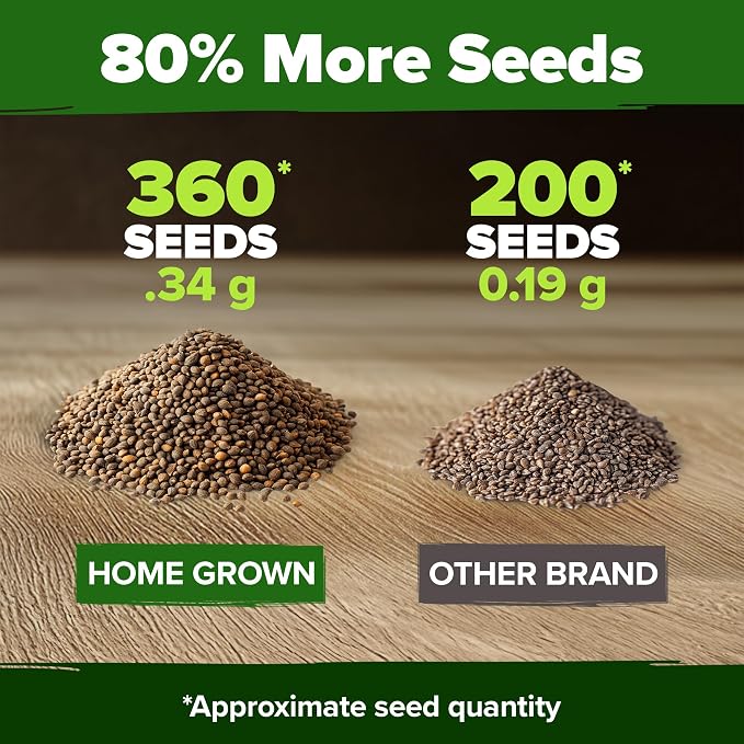 HOME GROWN Non GMO Culantro Seeds 360 Herb Seeds - Image 3