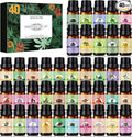 SACATR Essential Oils Set by SACATR